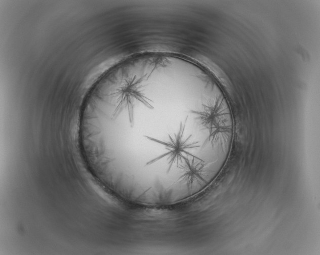 X0000113890437200910151338