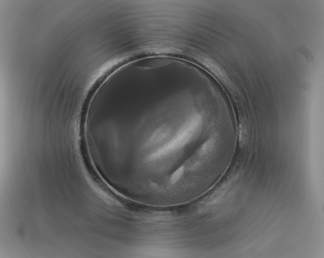 X0000113890438200910151338