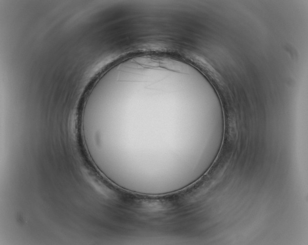 X0000113890439200910151338