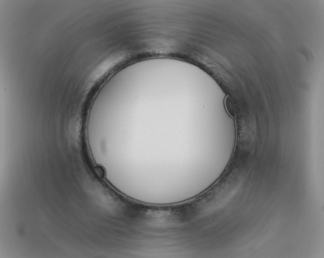 X0000113890440200910151338