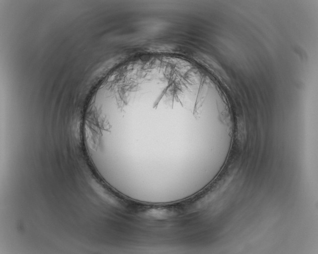 X0000113890441200910151338