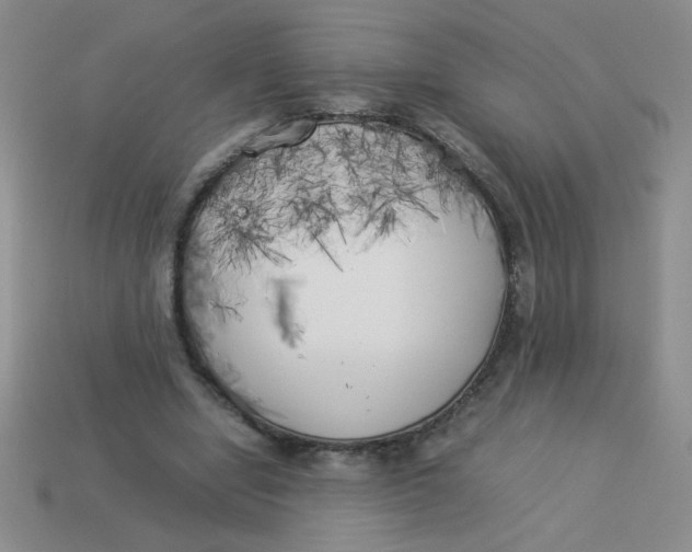 X0000113890442200910151338