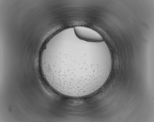 X0000113890443200910151338