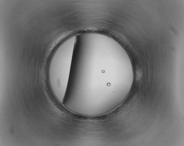 X0000113890444200910151338