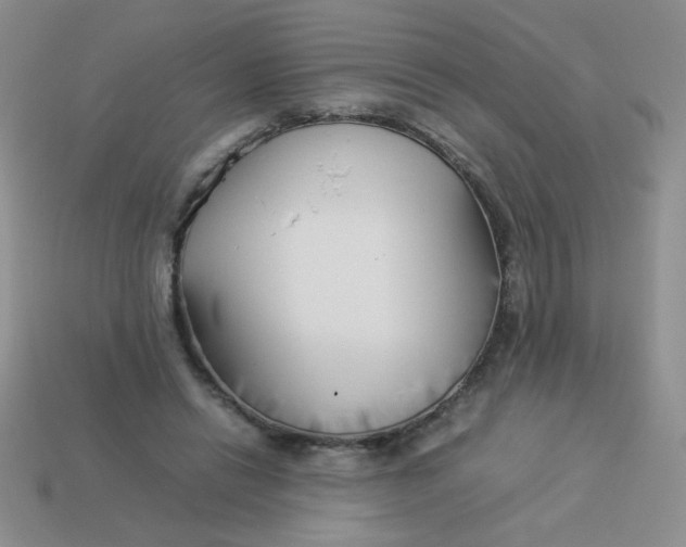X0000113890446200910151338
