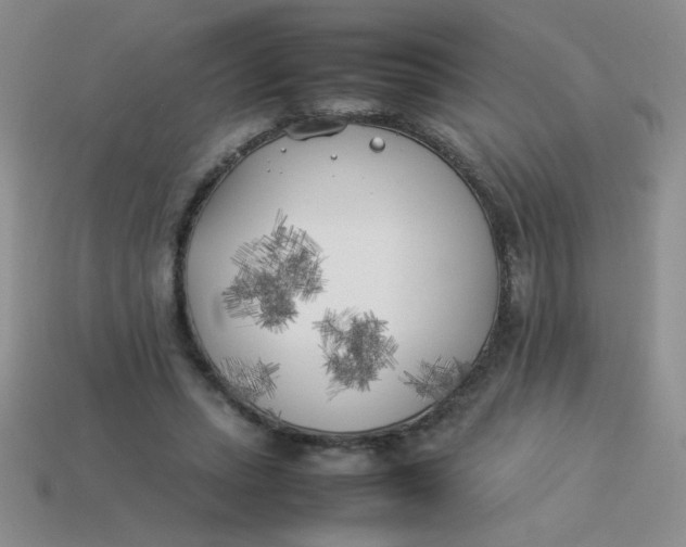 X0000113890447200910151338