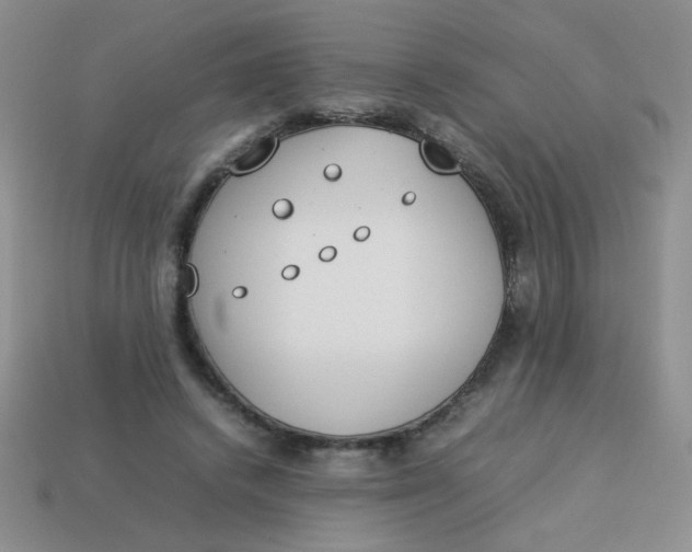 X0000113890448200910151338