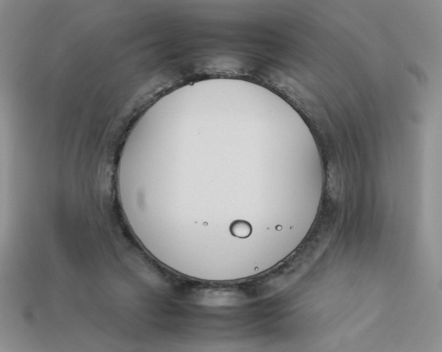 X0000113890449200910151338