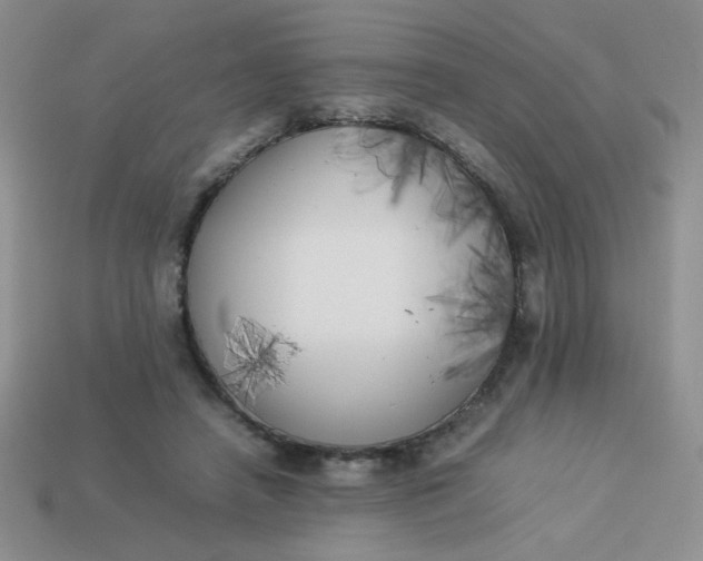 X0000113890450200910151338