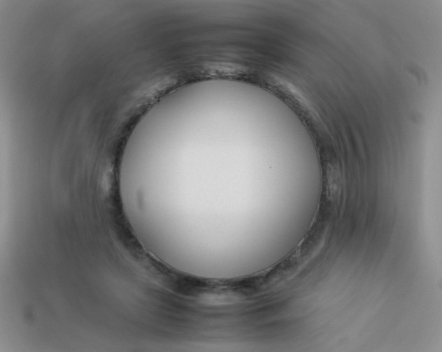 X0000113890451200910151338