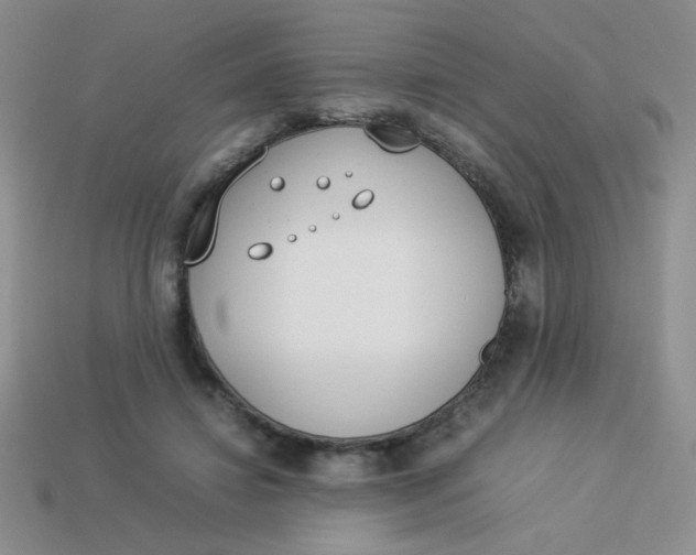 X0000113890452200910151338