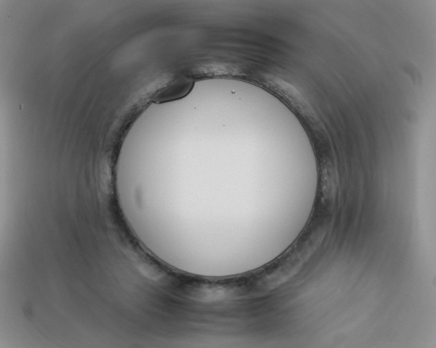 X0000113890453200910151338
