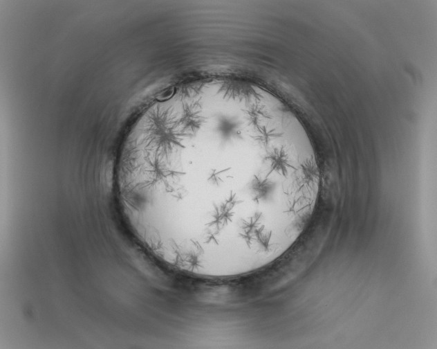 X0000113890454200910151338