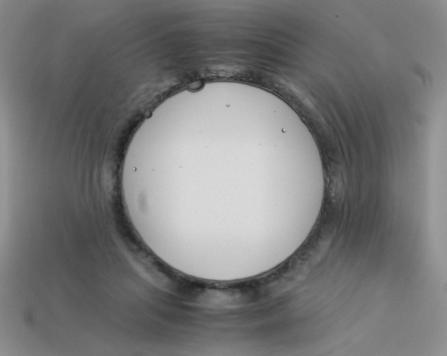 X0000113890455200910151338