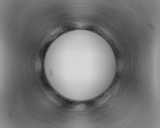 X0000113890456200910151338