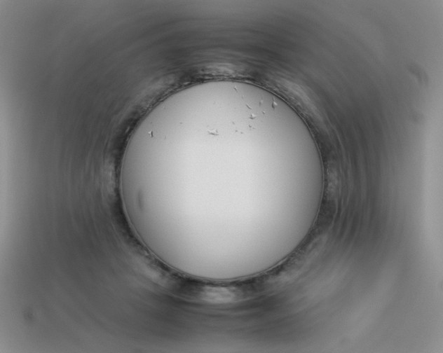X0000113890457200910151338