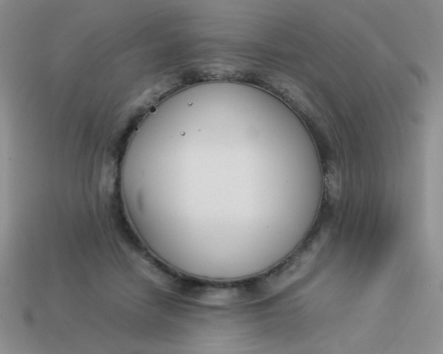 X0000113890458200910151338