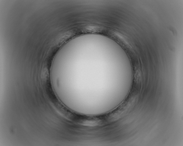 X0000113890459200910151338