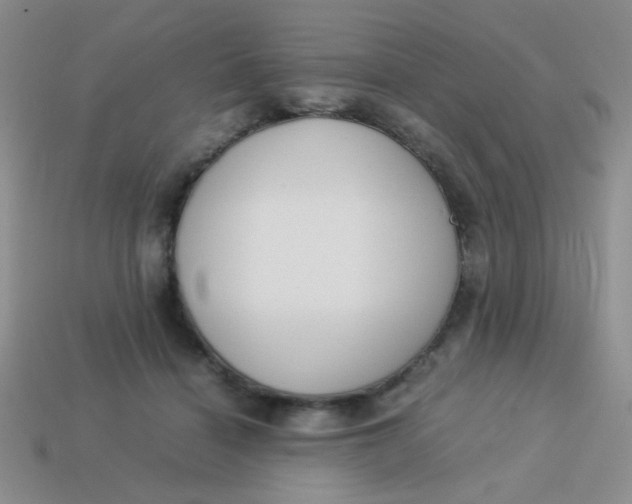 X0000113890460200910151338