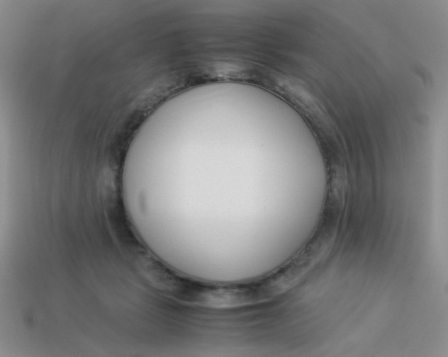 X0000113890461200910151338