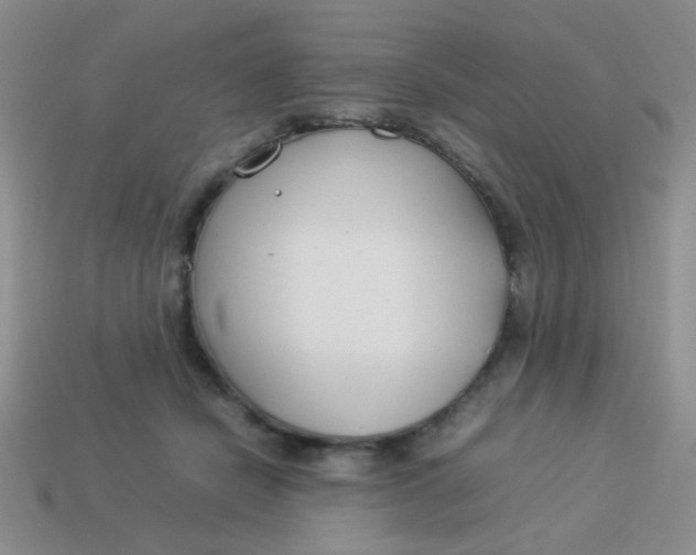 X0000113890462200910151338