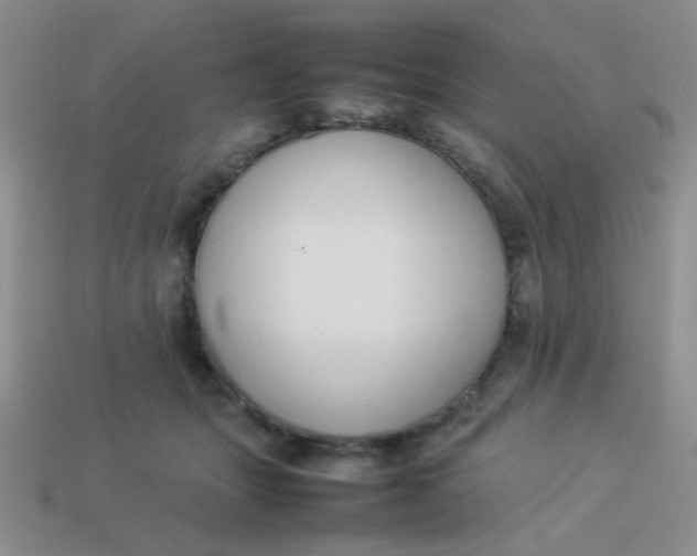 X0000113890463200910151338
