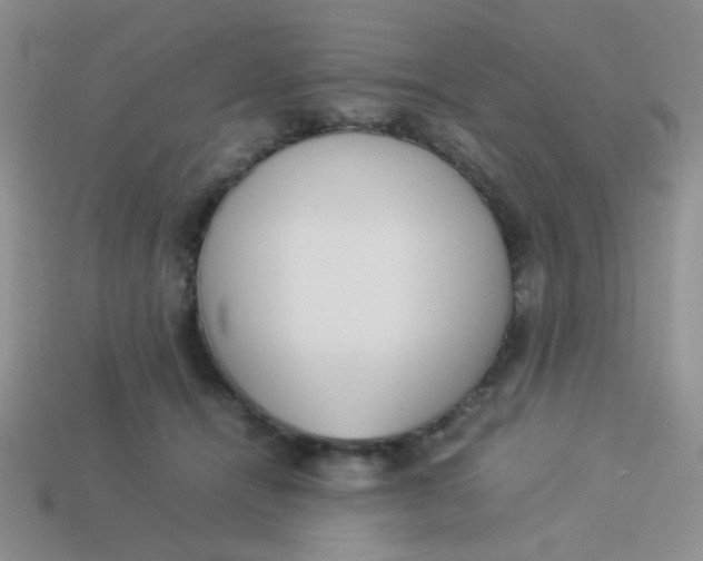 X0000113890464200910151338