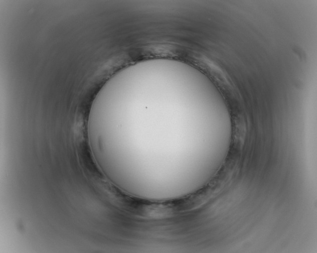 X0000113890465200910151338