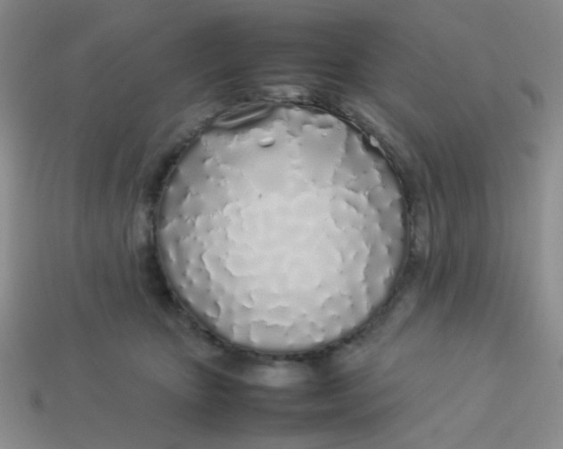 X0000113890467200910151338