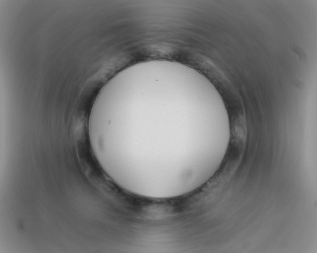 X0000113890468200910151338