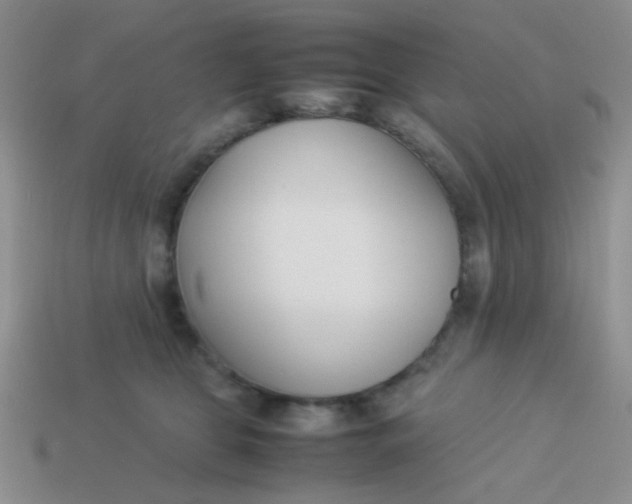 X0000113890469200910151338