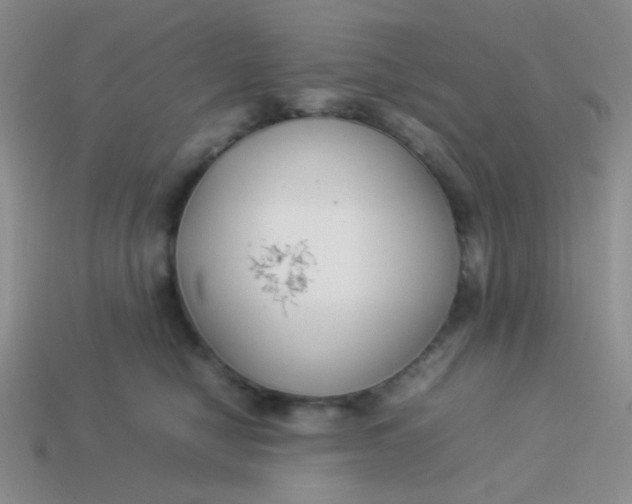 X0000113890470200910151338