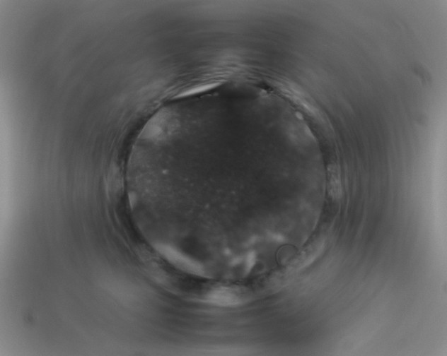 X0000113890471200910151338