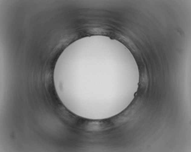 X0000113890473200910151338