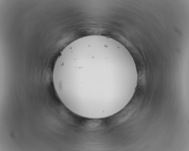 X0000113890474200910151338