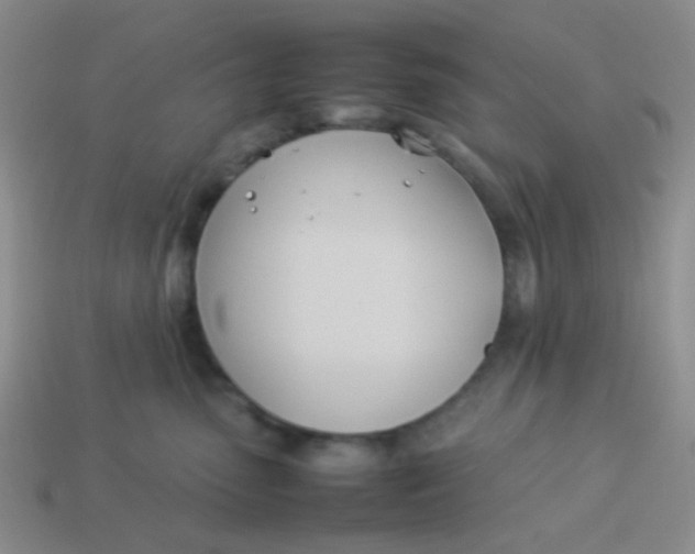 X0000113890475200910151338