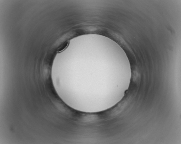 X0000113890476200910151338