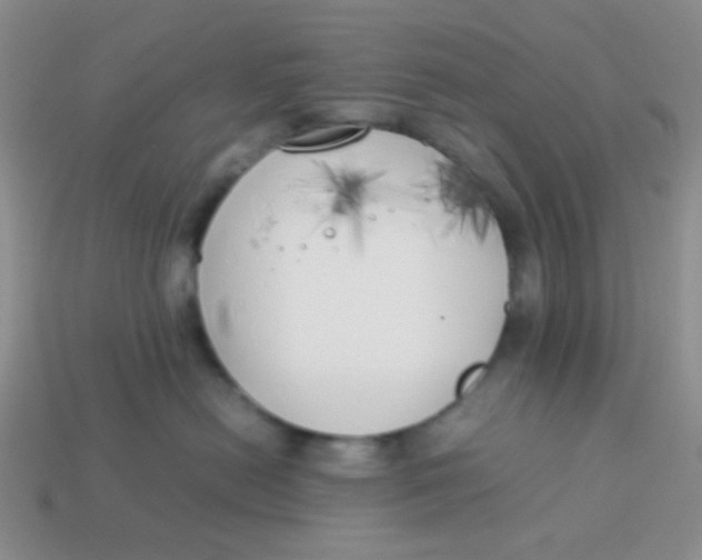 X0000113890478200910151338