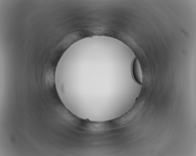 X0000113890479200910151338