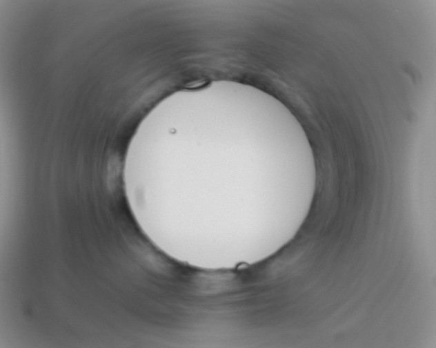X0000113890480200910151338