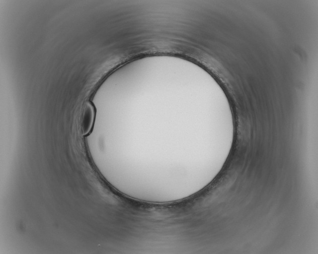 X0000113890481200910151338