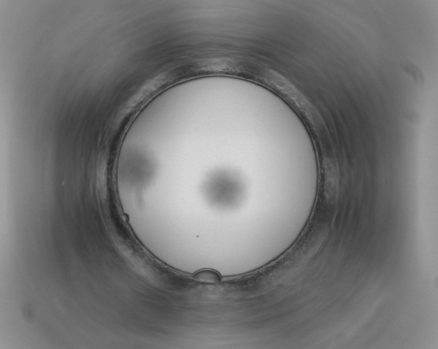 X0000113890482200910151338
