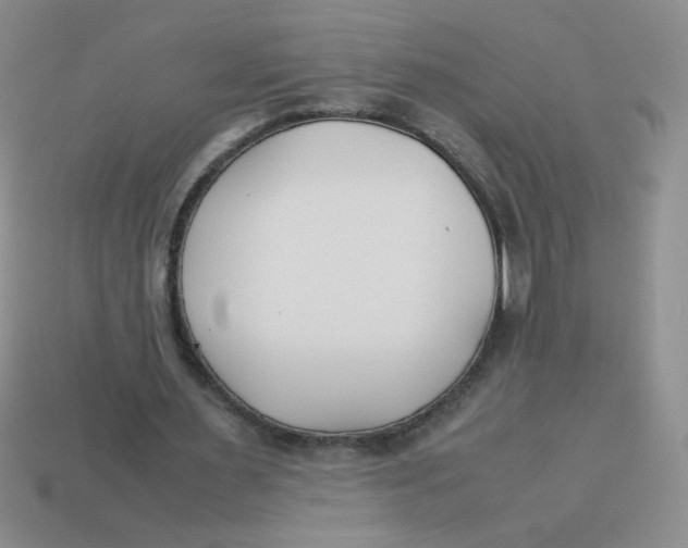X0000113890483200910151338