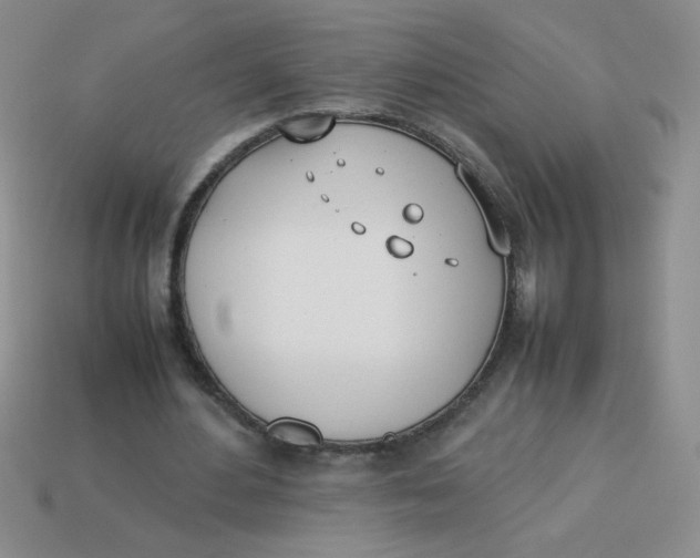 X0000113890484200910151338
