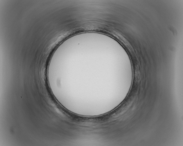 X0000113890485200910151338