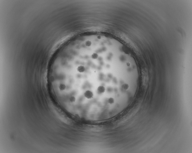 X0000113890486200910151338