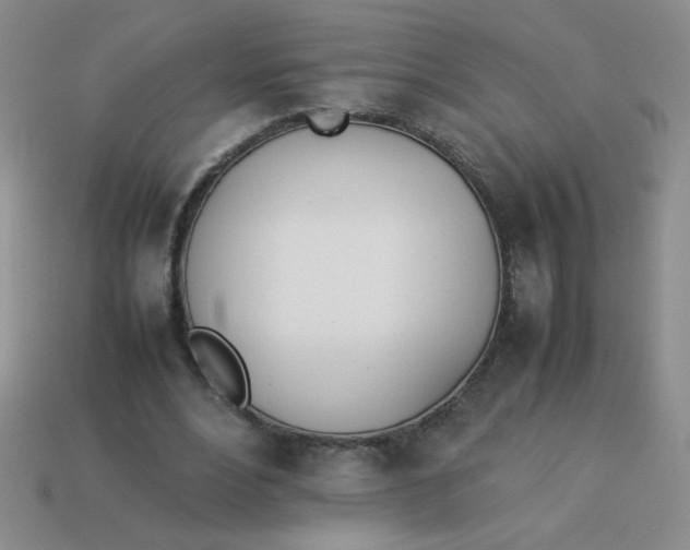 X0000113890488200910151338