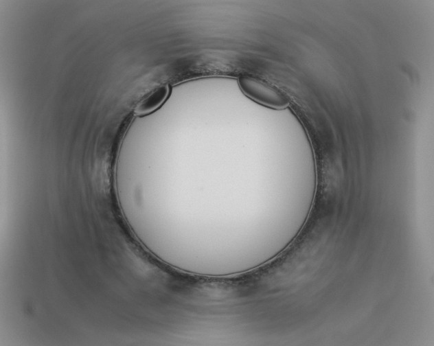 X0000113890489200910151338