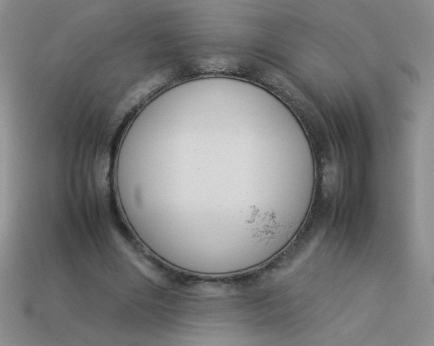 X0000113890490200910151338