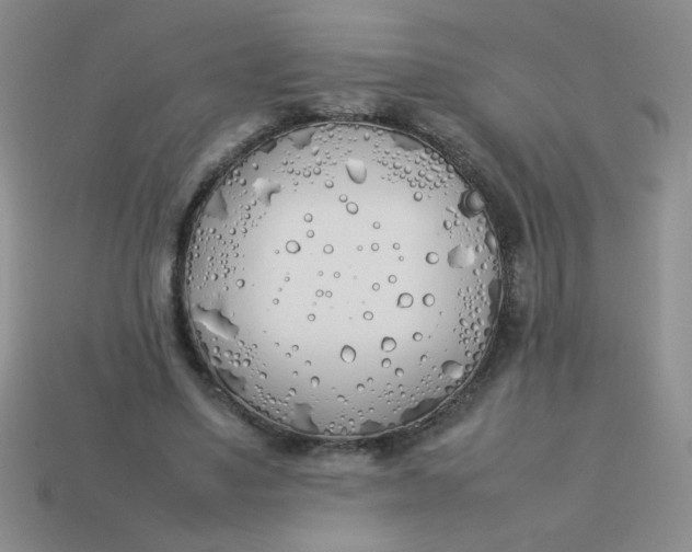 X0000113890491200910151338